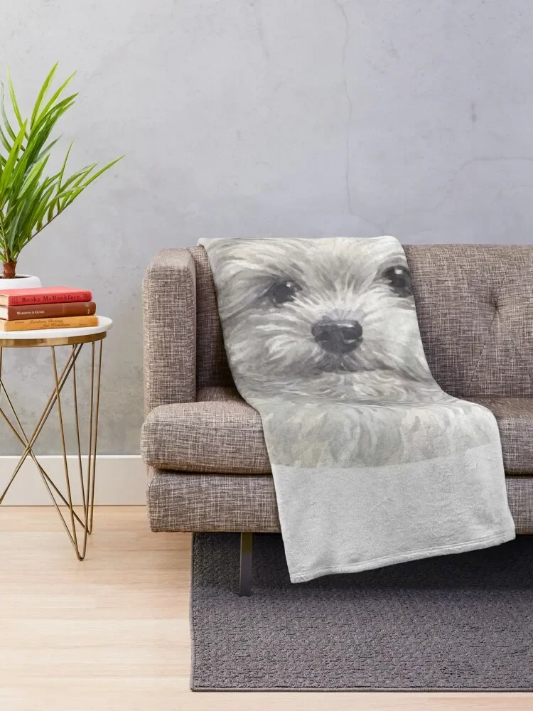 �Ϳ��� ��Ÿ ��äȭ ��Ʈ ������ ���, ���� ����, �ܿ� ħ�� ���