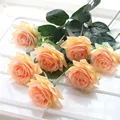 Orange rose