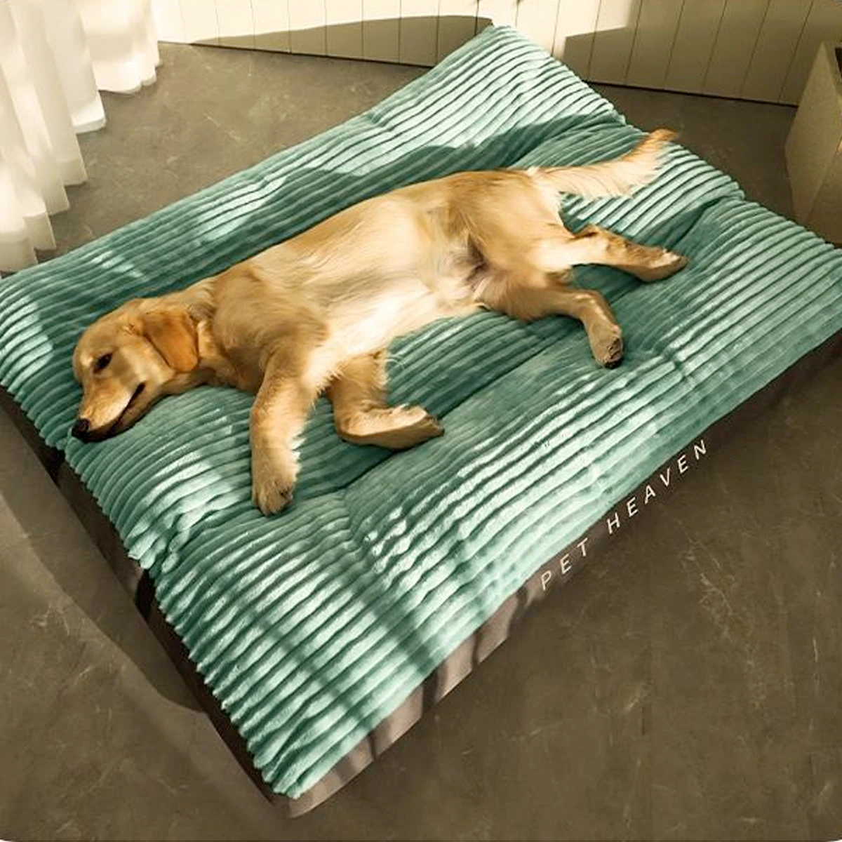 Store Home Products Getaway Deals Feedback