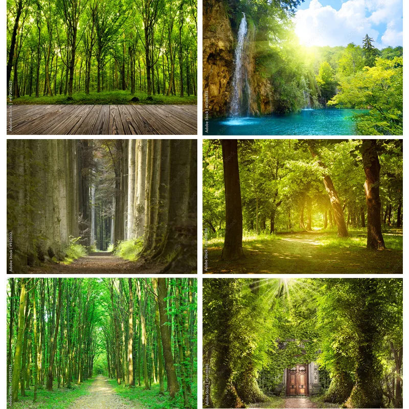 

ZHISUXI Natural Scenery Photography Background Forest Landscape Travel Photo Backdrops Studio Props 22331 SELI-01