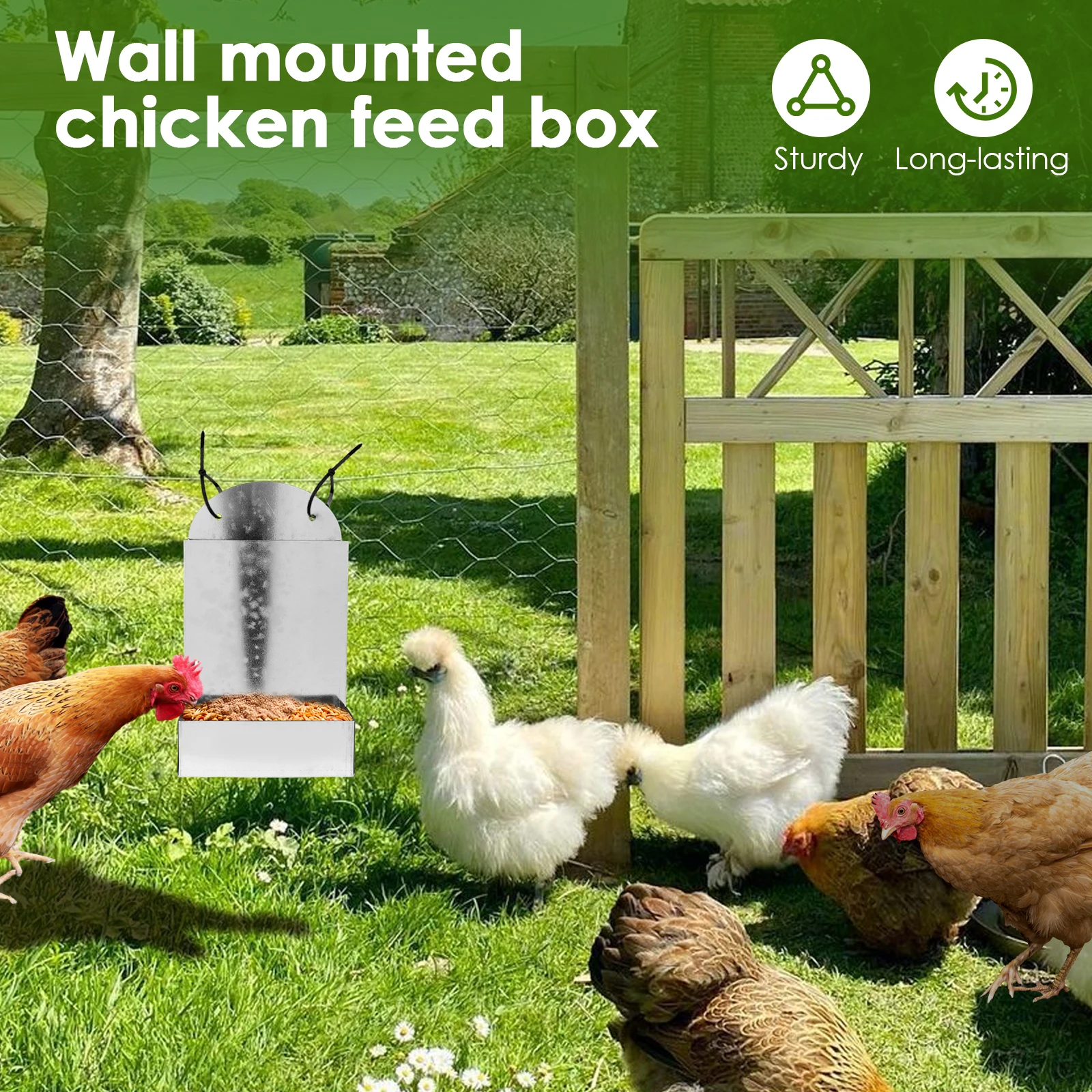 Chicken Oyster Shell Feeder Metal Chicken Grit and Oyster Shell Feeder Hanging Farm Grit Dispenser Poultry Feeding Accessories