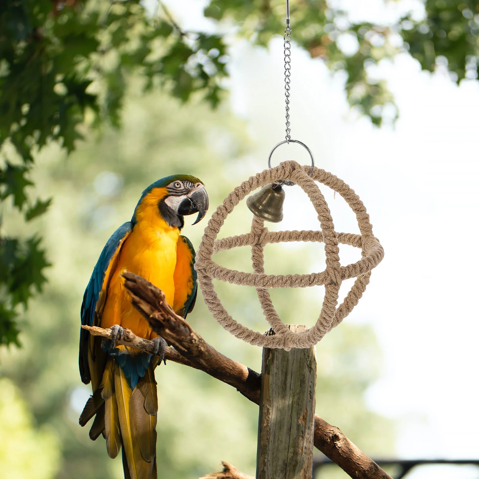 Parrot Toy Bird Toy Bird Cage Accessories Bird Perch Stand Bird Swing Toy Toys Parrot Swing Birdcage Decorative Hanging Funny Stand Rack Perch for Parakeet