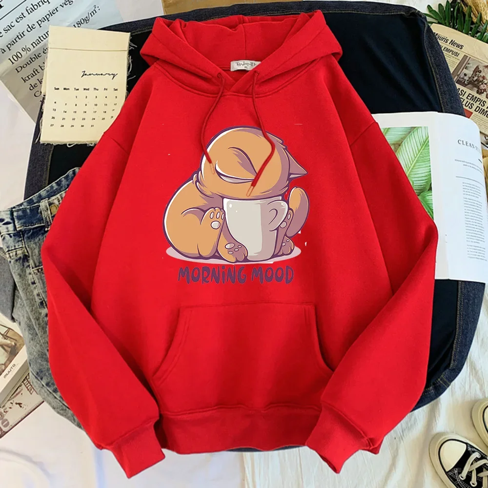 Cute Fox Printed Hooded Sweatshirts Women Plush Loose Casual Pullovers Big Pockets Autumn Winter Cartoon Hoodies Cartoon Coats