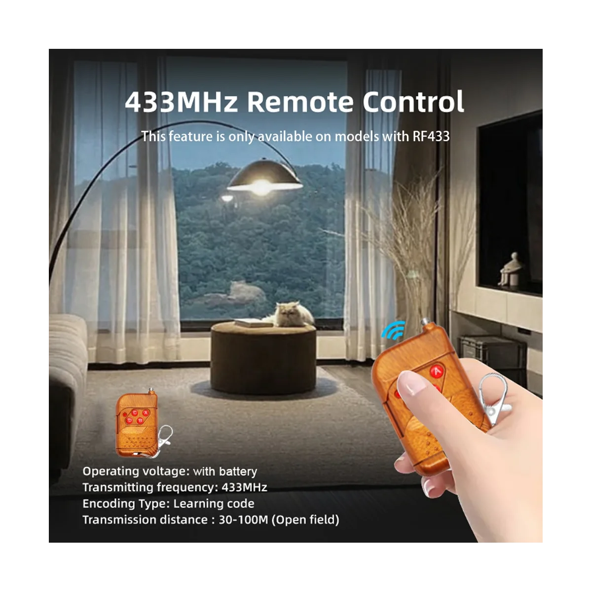 

WiFi Smart Switch DIY Timer+RF433 Remote 1CH 7-32V 2.4G WiFi Home Automation Module for Alexa Google Home