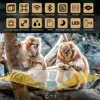 Outdoor WiFi Trail Camera Bluetooth 4K 36MP Game Camera 940NM Night Vision Motion Activated Waterproof Hunting Wildlife Cam 6