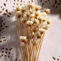 30pcs Mini Daisy Dried Flowers Bouquet Vase For Wedding Party Home Decor Outdoor Garden Eucalyptus Leaves Fake Plants 45cm 5