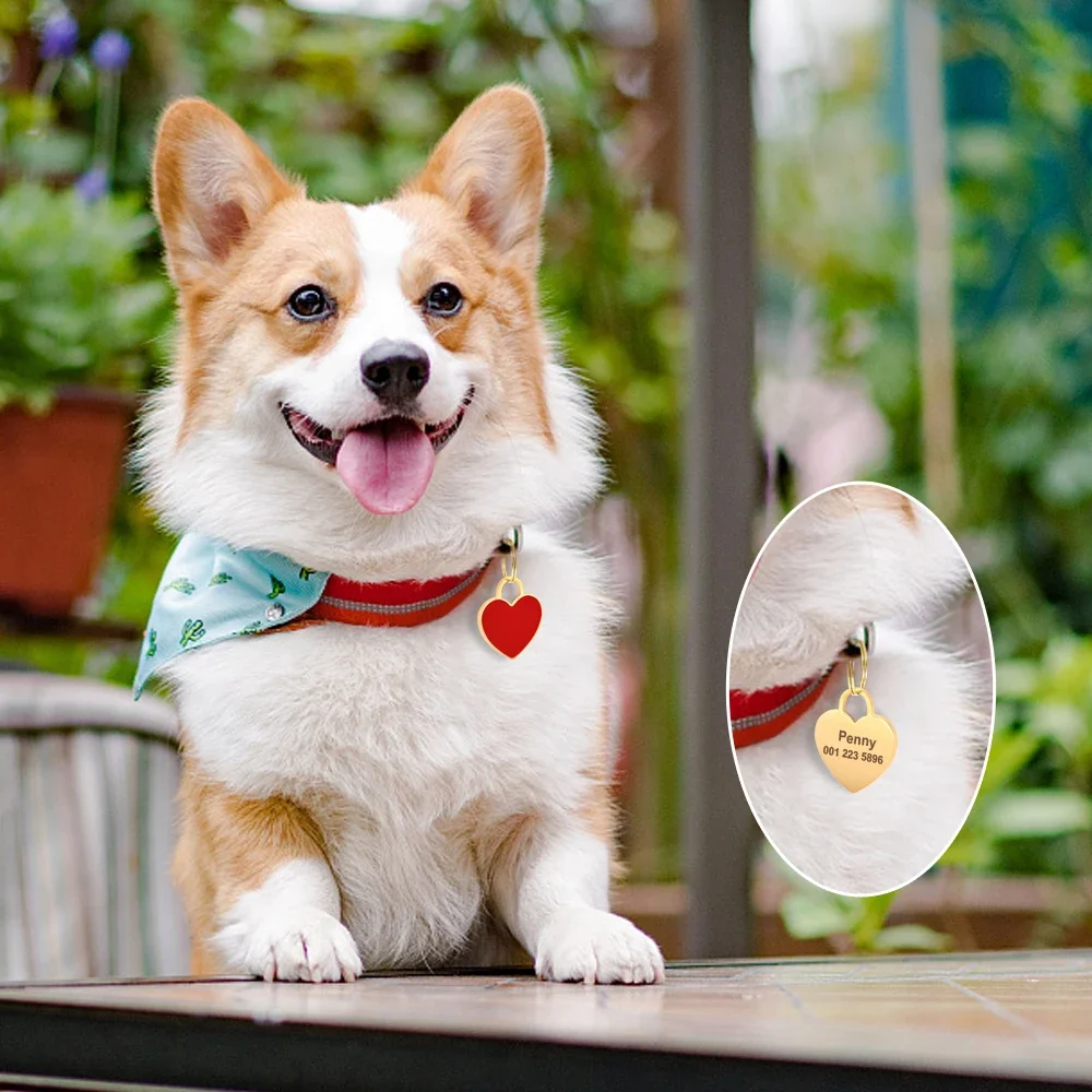 Free Engraved Cat & Dog ID Tag – Personalized Heart Name Pendant Collar Charm