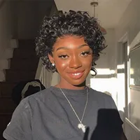 25cm Wig Black Brazilian Short Curly Human Hair With Hair Net Wigs for Black Women High Temperature Fiber Wig Hair