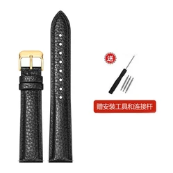 Luxurious Genuine Leather Watch Strap Accessory with Tool - 20mm (Black gold)