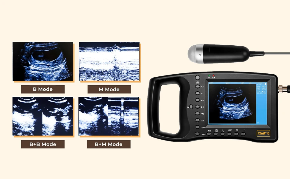 Portable Veterinary Ultrasound Scanner, Vet Pregnancy Ultra Machine with 3.5MHz
