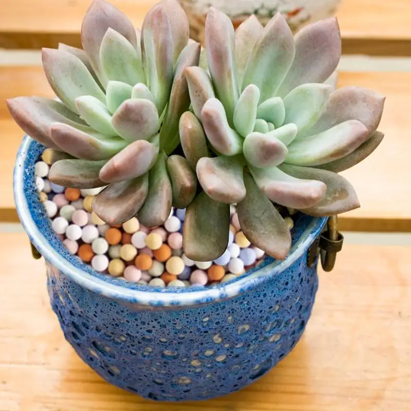 Succulent Potting Pebbles Decorative Sand For Plants Universal Granular  Fertilizer Matte Texture DIY Projects Rocks Mixed Color - AliExpress