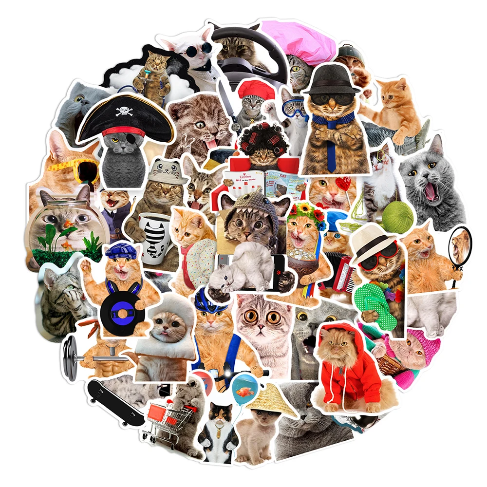 10/30/66pcs Cute Cat Stickers Funny Meme Kawaii Animal Decals DIY Scrapbook Phone Fridge Suitcase Stationary Bike Sticker Toys