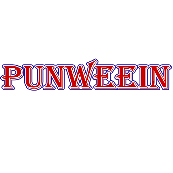 PUNWEEIN Zephyr Store
