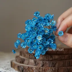 Preserved Little Star Flowers - 100pcs for Wedding and Home Decoration (Blue)