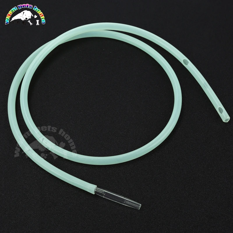 313069-6cf565.jpg