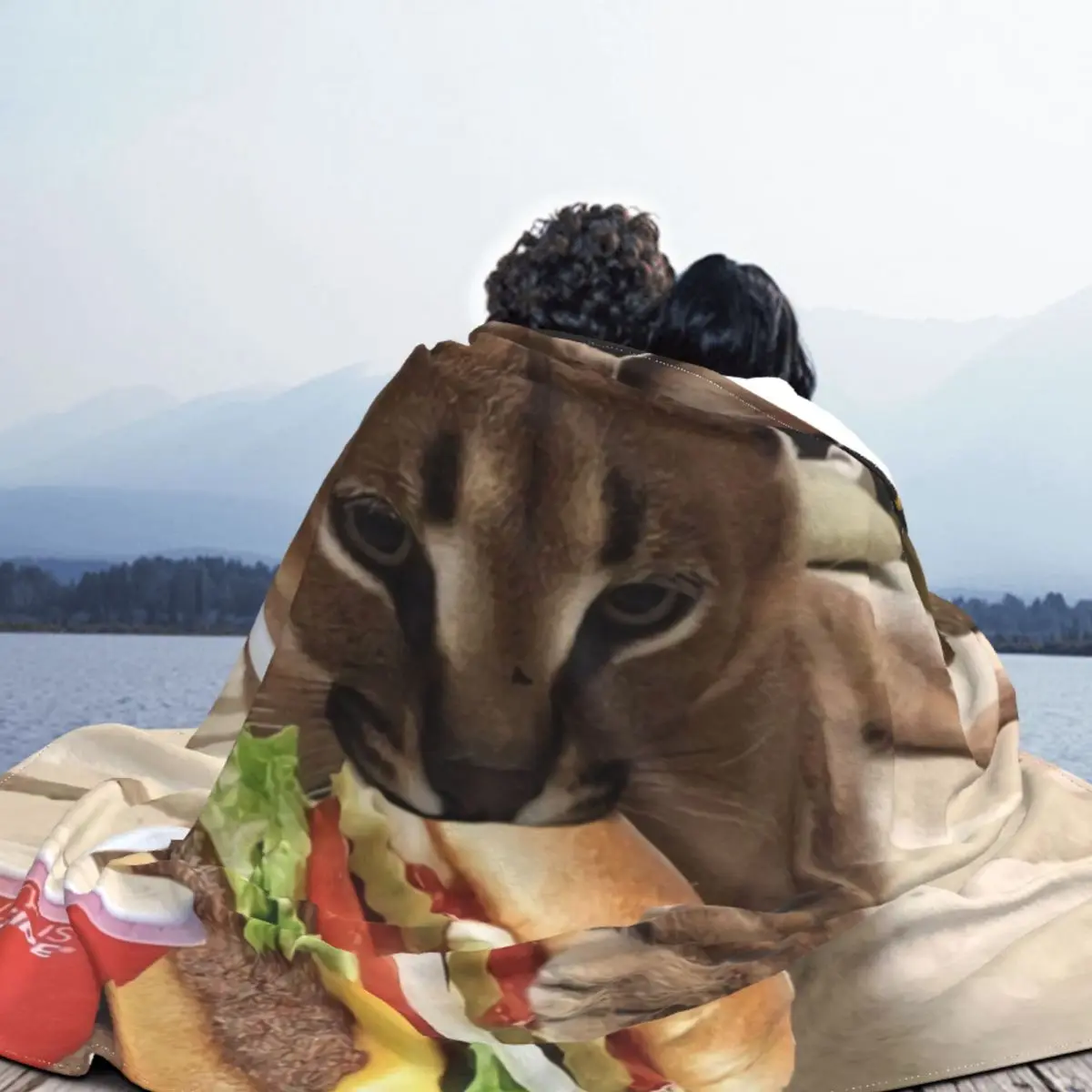 ǫ���� �÷��� ī��Į �ε巯�� �ø��� ���, �� ������ �ö��� ���� �ڵ��� ħ�� �̺ҿ� ���