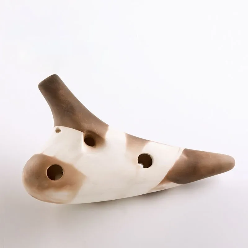 Zelda Legend Ceramica Ocarinas 12 Hole Professional Leave and Accessories Repair Tuba Musical Instrument Esbest Trazy Bar