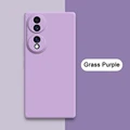 Grass Purple