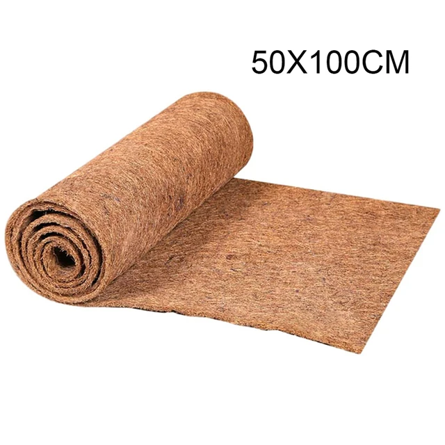 50x100cm