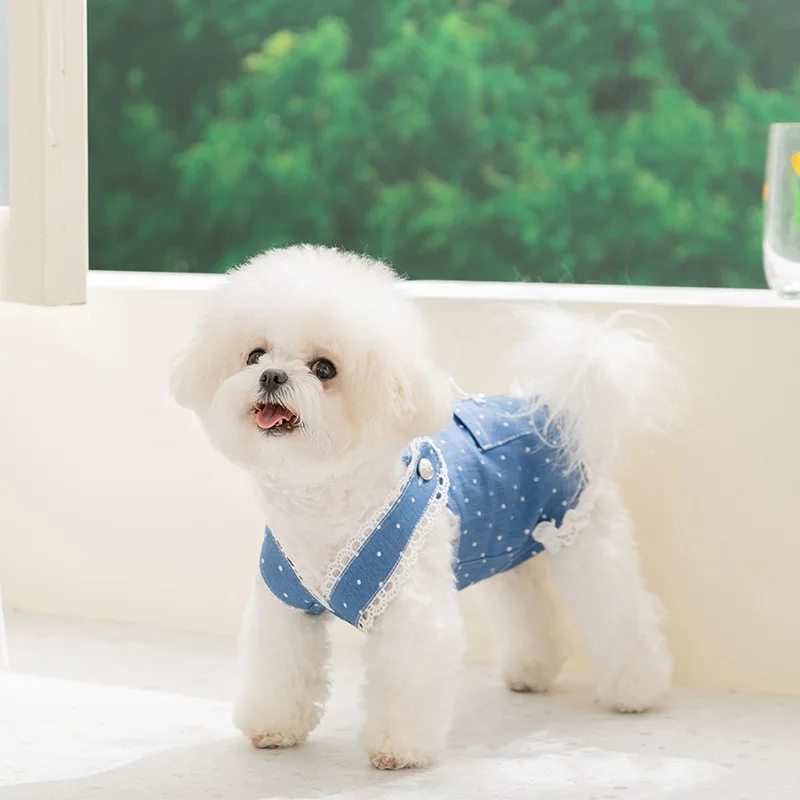 여름 데님 강아지 드레스 도트 무늬 리본 애완견 멜빵 고급 강아지 옷 고양이 의상 치와와 비숑 요키 여자 강아지 스커트 청바지 신상품