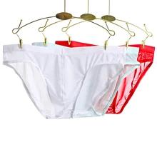 

Men's Panties Breathable Briefs Sexy Tulle Netting Transparent Underpants Elastic Soft Comfortable Underwear Man Briefs
