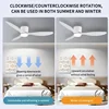 Modern Ceiling Fan, LED Light, DC Motor, High Air Volume Remote Control, Kitchen, Bedroom, Dining Room, Terrace, Pendant Light 6