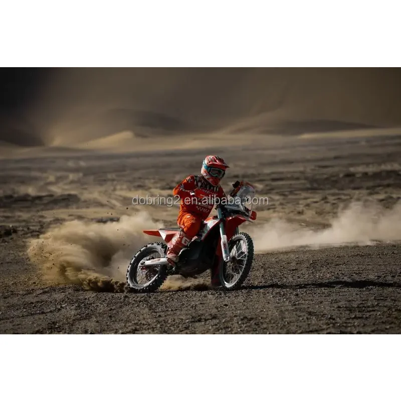 2025 Arctic Leopard E-X 800 800Nm Electric Motorcycle Powerful Mountain Bike Genre 115km/h - Image 3