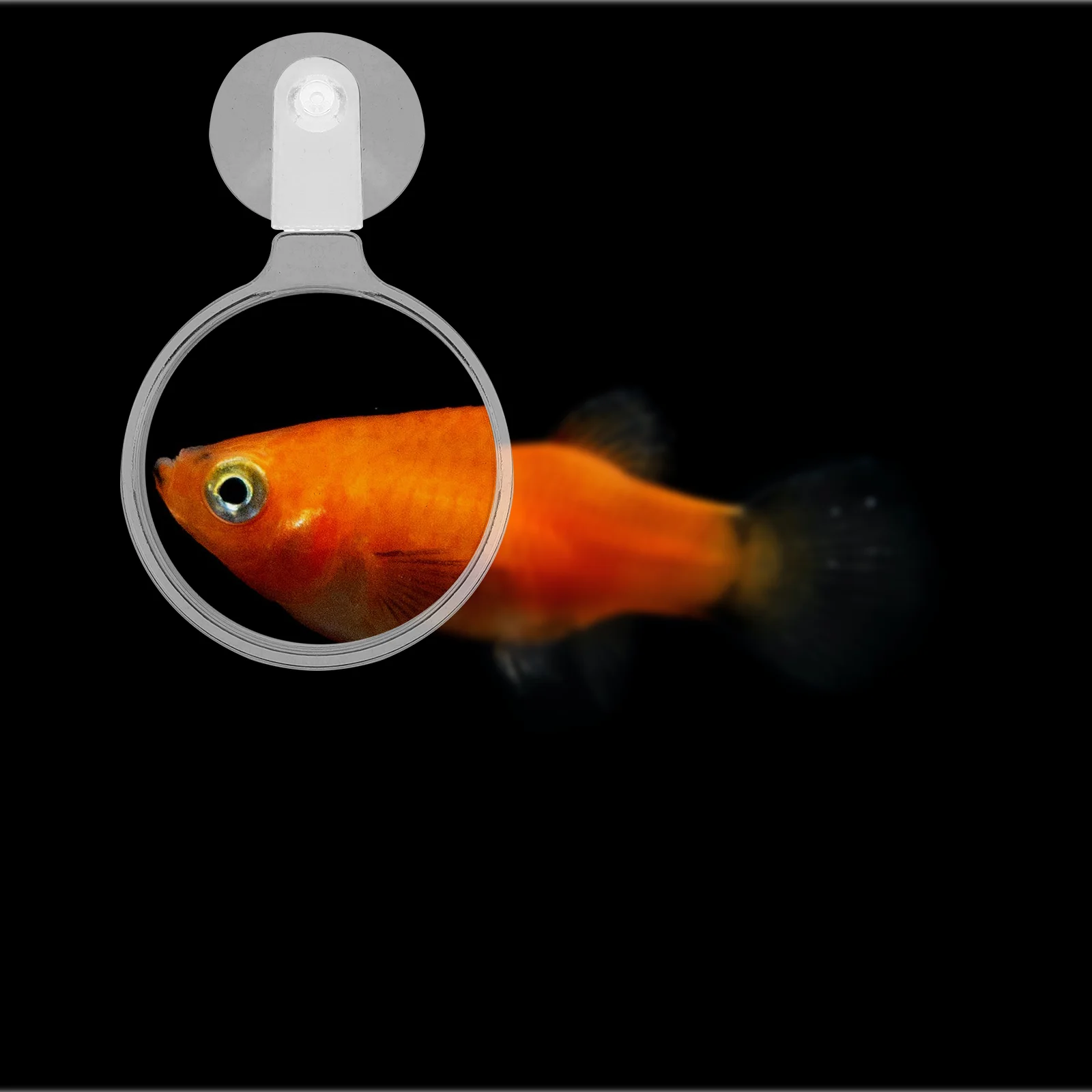 Acrylic Suction Cup Glass For Fish Tank Aquarium Viewer Small Animal Plant Observer Home Garden Pet Supplies