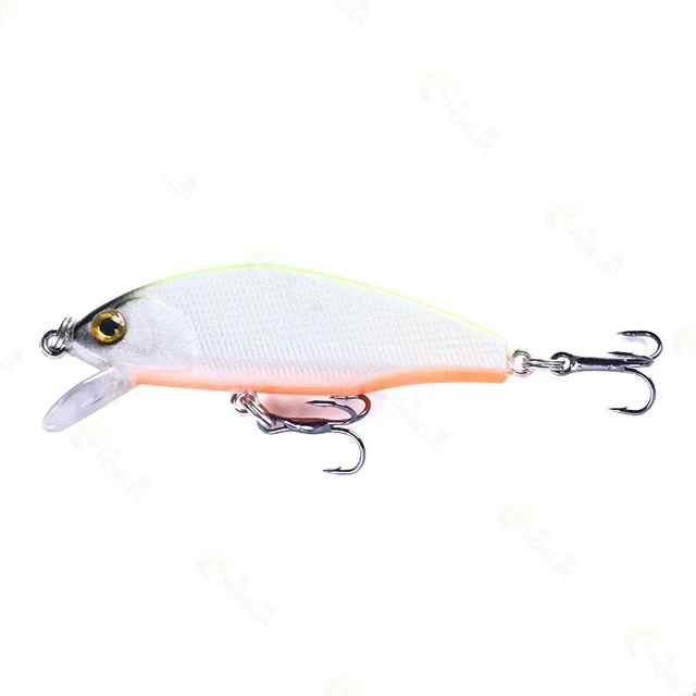Leurre Rapala Géant Original, Finition Argent Méné 24,5 Cm, Neuf Sous Vitrine, Livraison Rapide