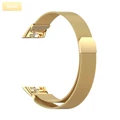 Gold Band