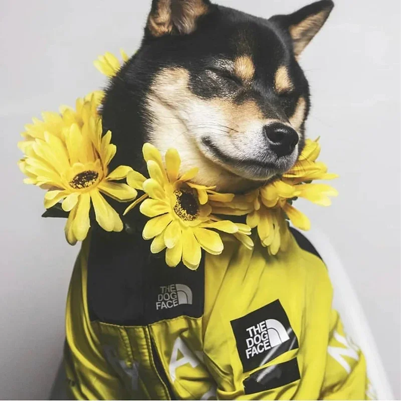Pet Dog Jacket Raincoat Adjustable Waterproof for Big Dogs 2XL/3XL/4XL/5XL