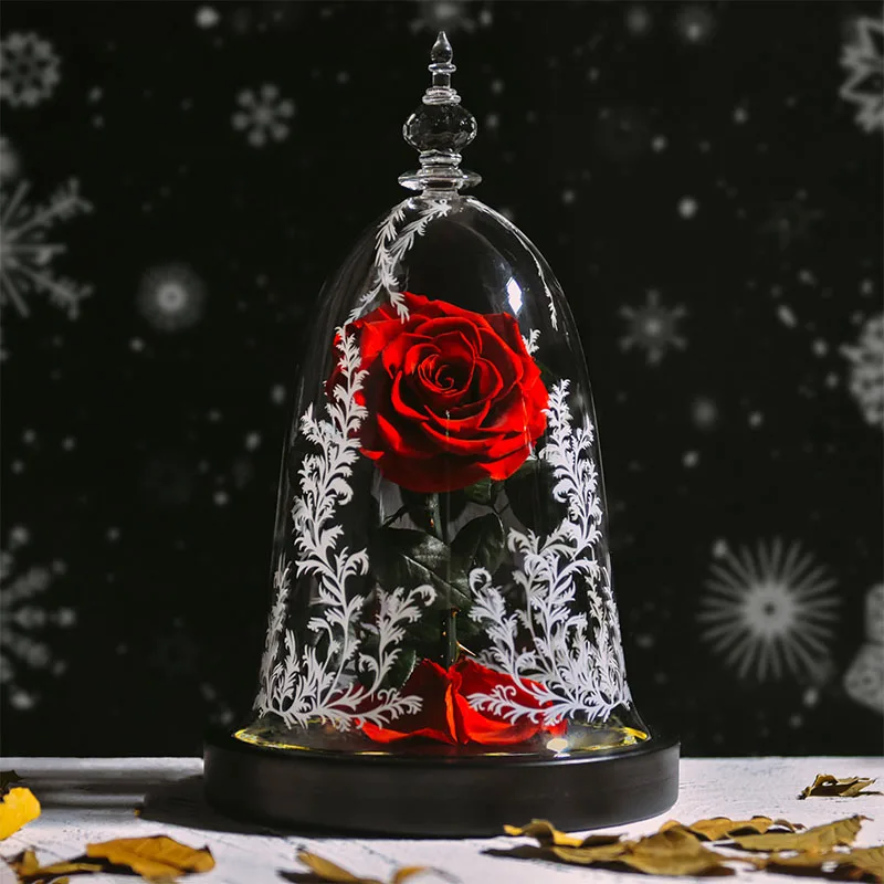 Forever Rose in Glass Dome Beauty And The Beast Preserved Eternal Gift Mother'sL 