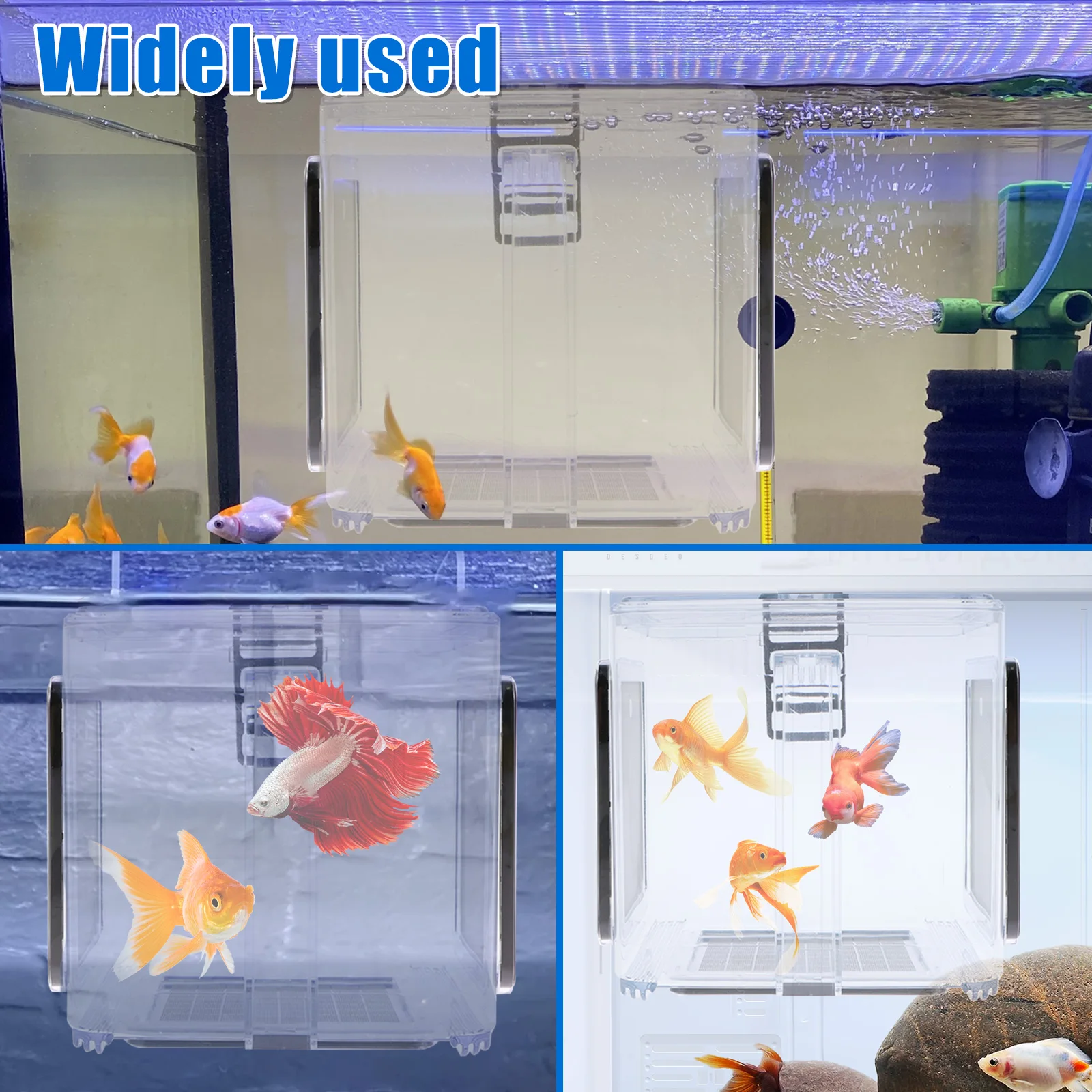 Clear Acrylic Fish Breeding Box with Detachable Mesh for Aquariums