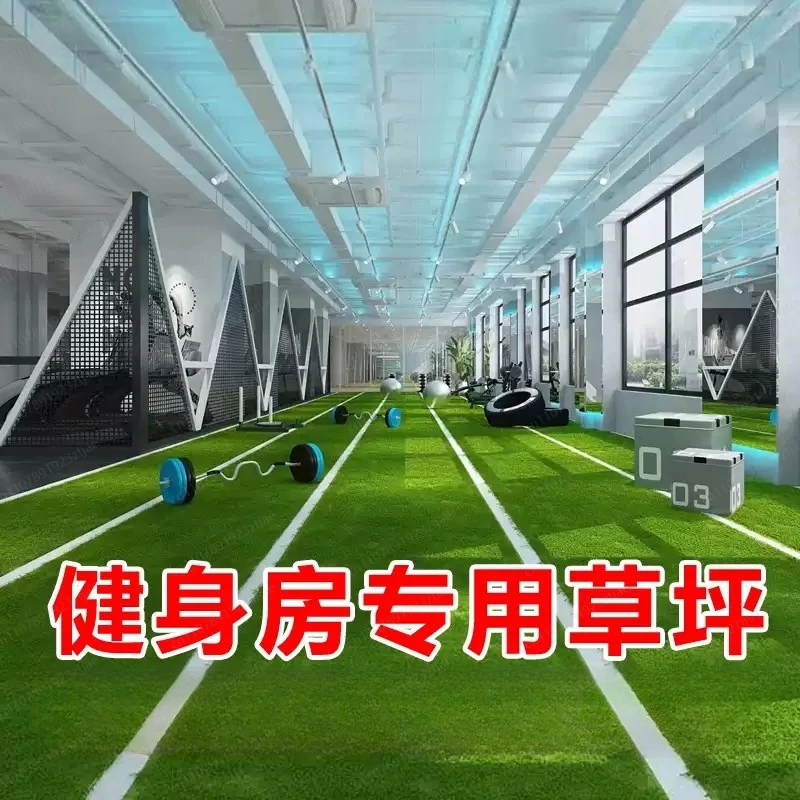 Gym Turf, Indoor Private Training White Line Track Custom, Scale Mark Sled, Sports Turf, turf Carpet 2