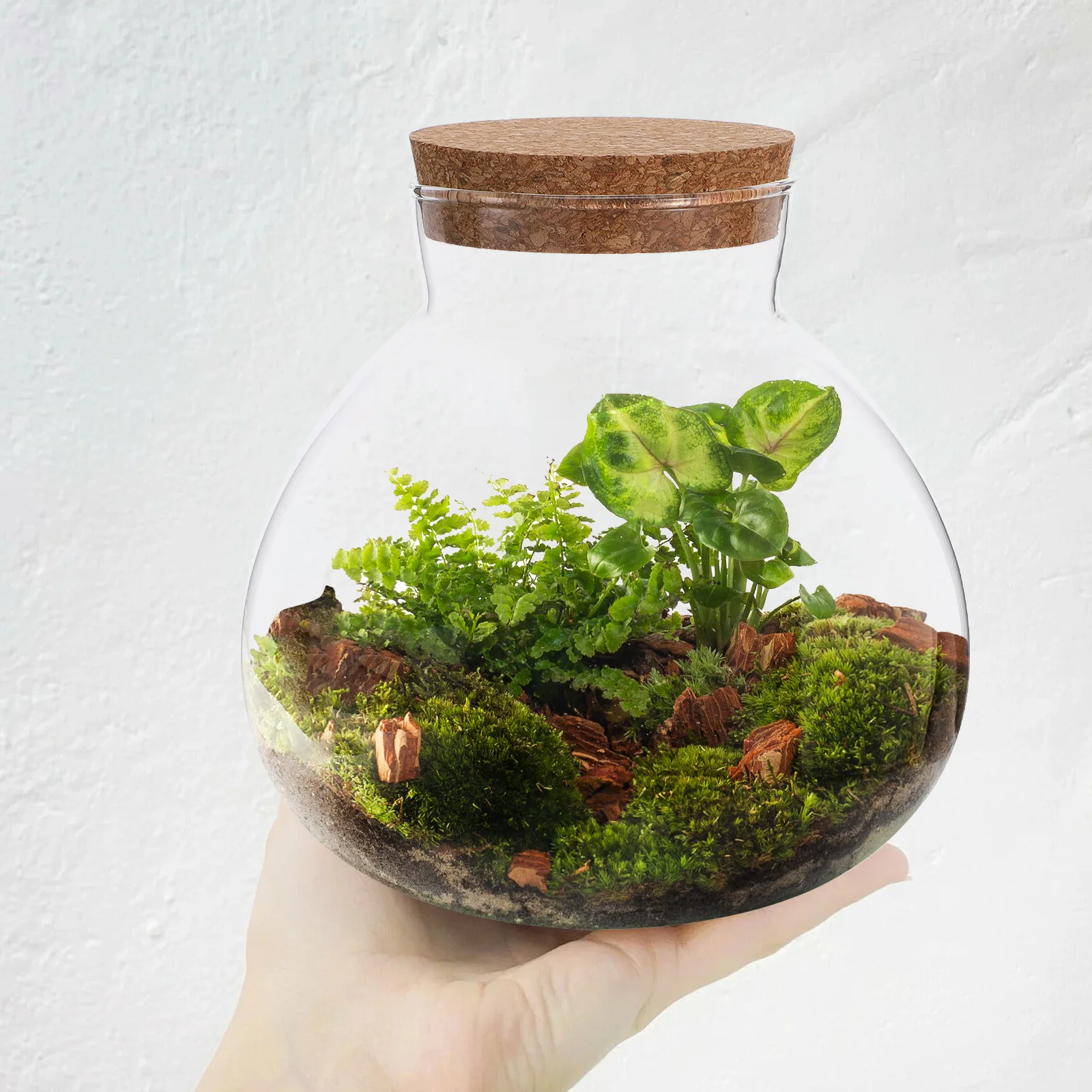 Desktop Micro-landscape Bottle Vase Empty DIY Cork Plant Terrarium Decorative Landscaping Container Glass Jar with Lid 2025 NEW 4