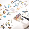 Mr. Paper, Birds Among The Clouds Series PET Film Cutting Tape, Bird Theme Landscaping Tape Hand Account for Decorative Tape 2