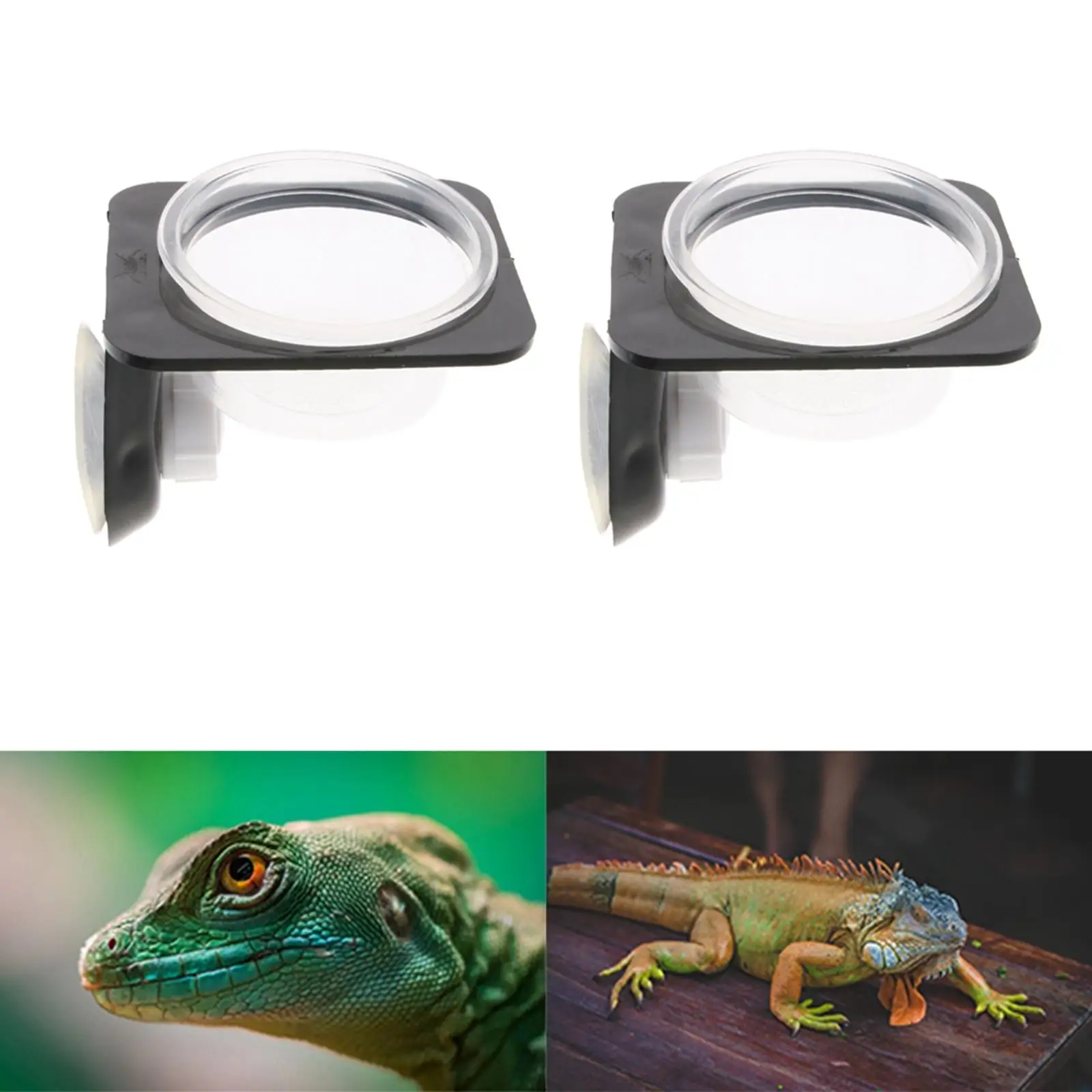 1 Pair Plastic Diameter 6cm Round Bowls for Amphibians Gecko Turtle