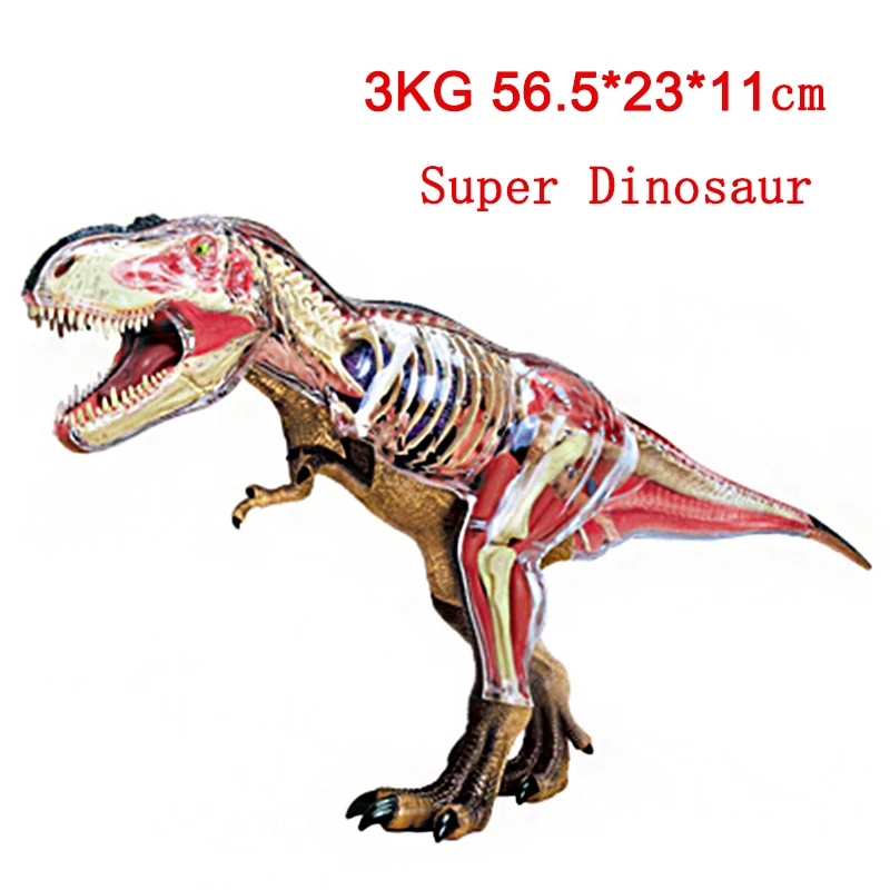 

3KG 4D Science Big Tyrannosaurus Rex Triceratops Velociraptor Anatomy Assembly Model Simulation Animal Educational Science Toys