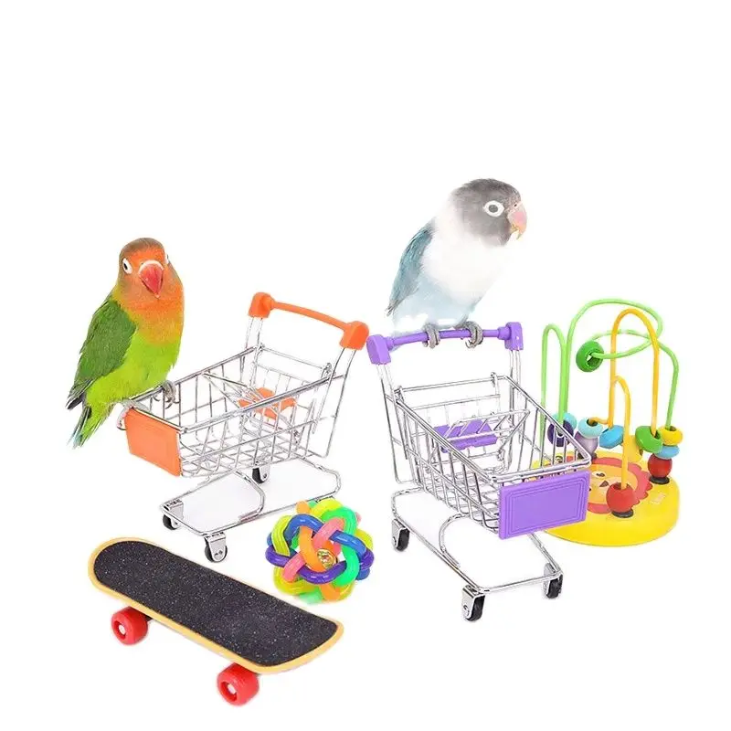 Bird Training Toy Supplies Basketball Stand Lovebird Shopping Cart Bird Toy Shoes Canary Skateboard Parrot Accessories