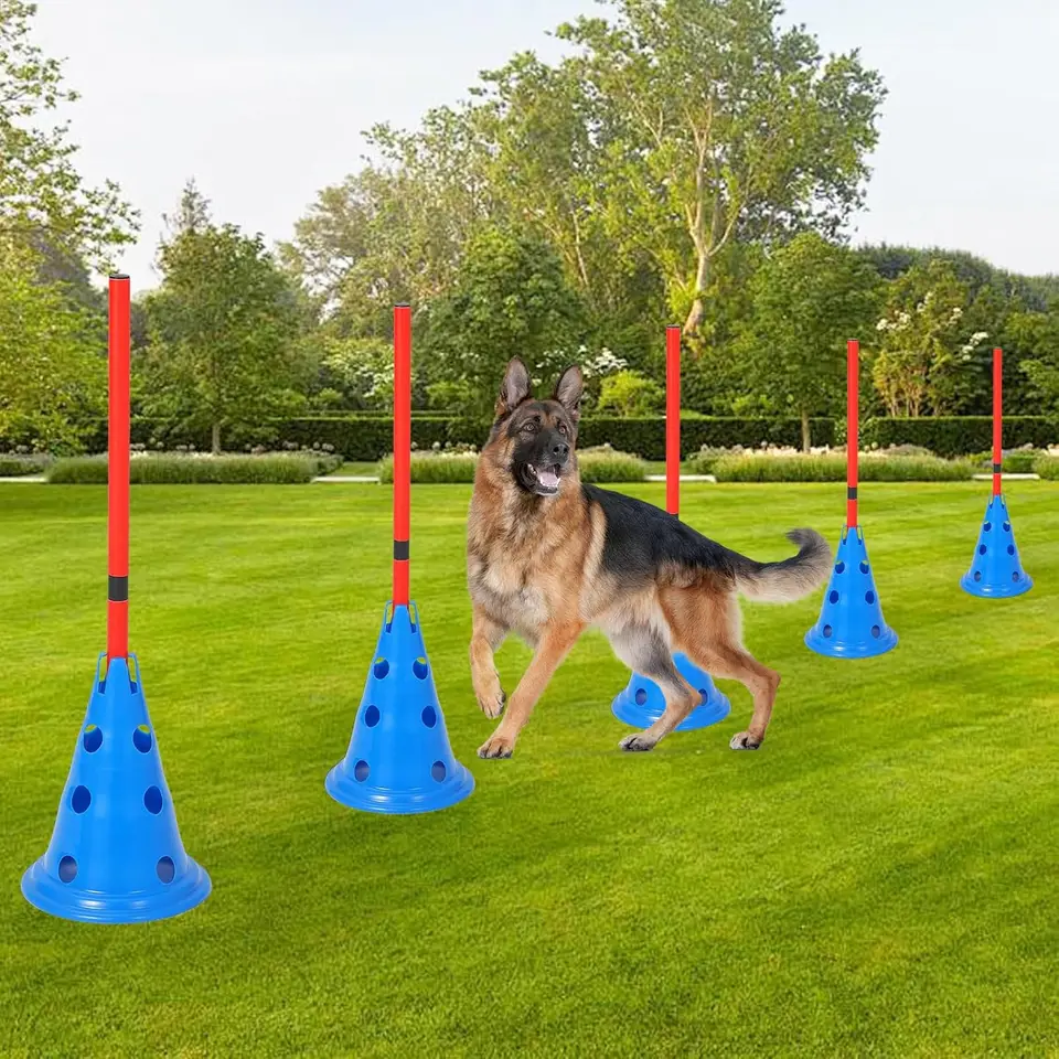 Agility Equipment For Dogs Soccer Cones For Training Dog Agility