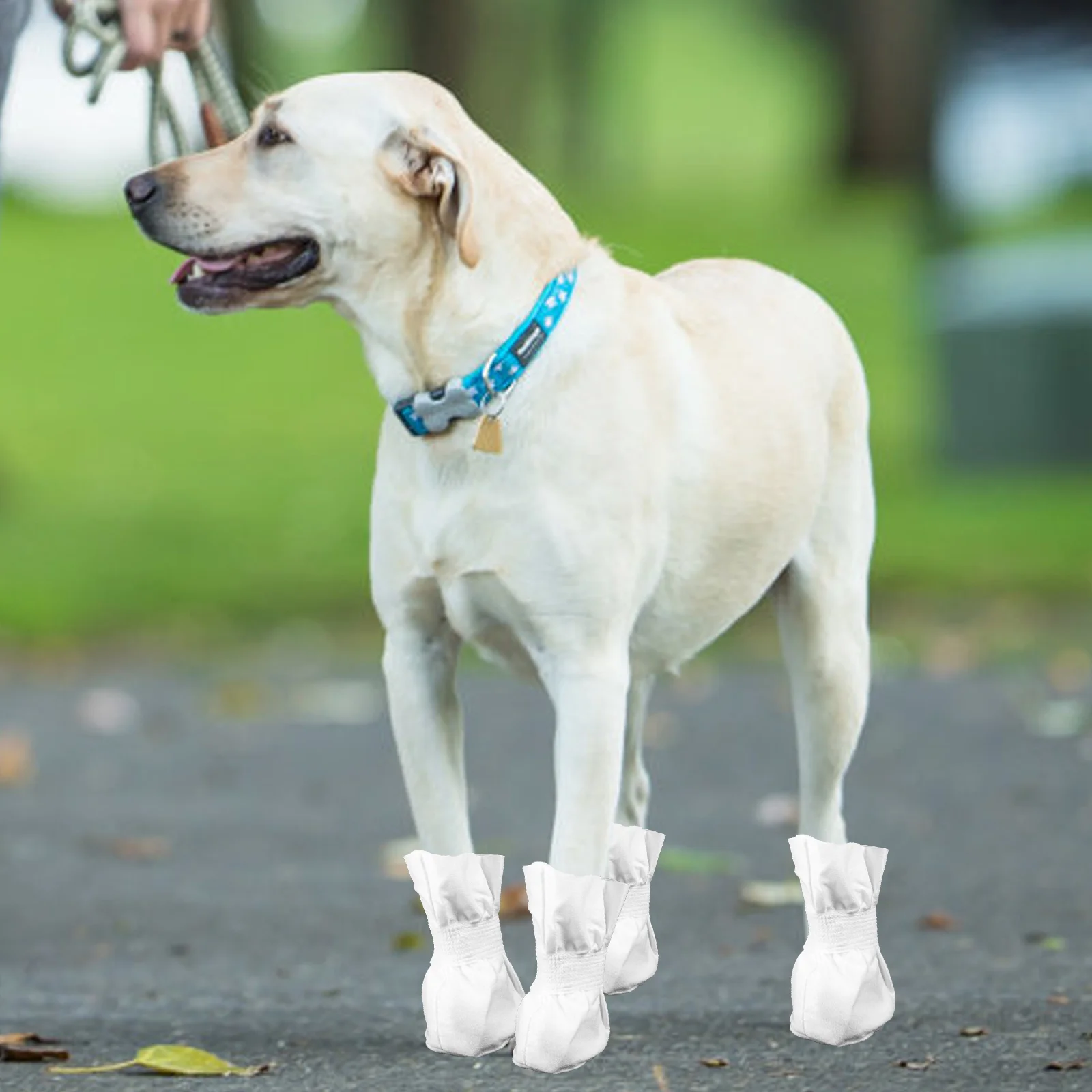 

Disposable Dog Shoes Pet Foot Cover Outdoor Dog Puppy Rain Boots Adjustable Strap Paw Protection Cover Dirt-Proof Pet Shoes