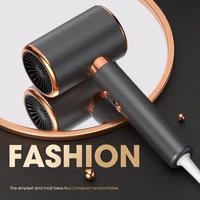 Professional Hair Dryer Hot Cold Wind Air Brush Hairdryer Negative Lonic Blow Dryer Strong PowerDryer Salon Tool 2000W 5th Gear 2