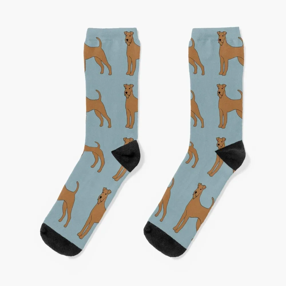 Irish Terrier Socks New year's winter thermal Women Socks Men's