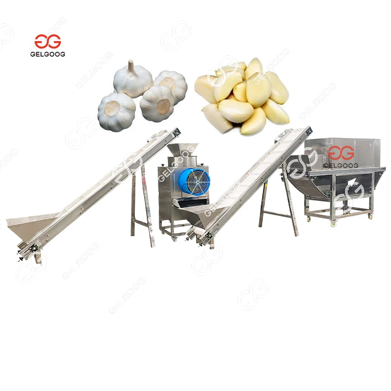 High Efficiency Automatic Garlic Breaking Peeling Sorting Machine Garlic Cleaner Machine Garlic Washing Machine For Sale 6