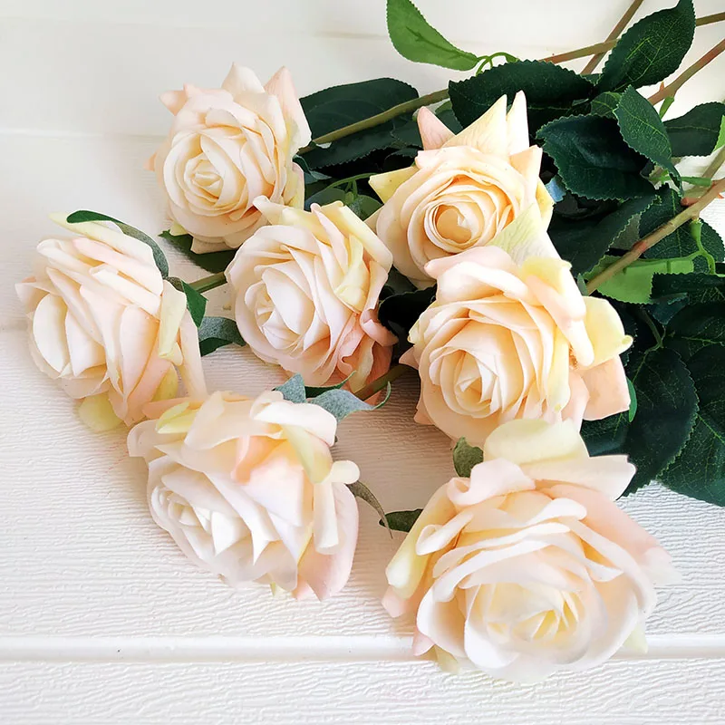 champagne rose