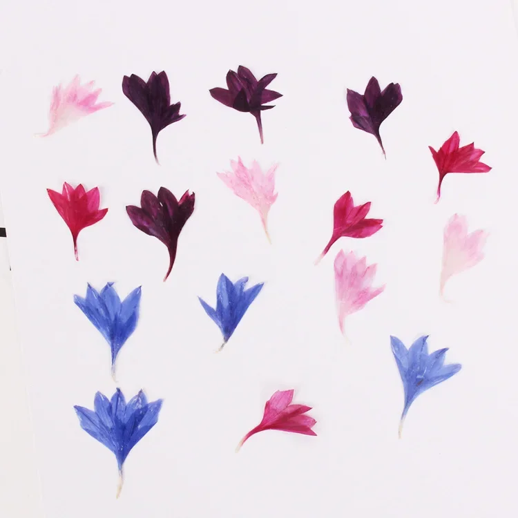 Slide image 26fee0fb87324e92963c8fa0abfce3fd