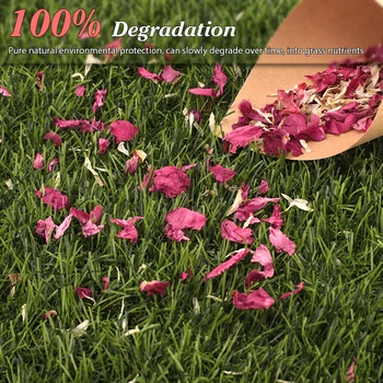 Wedding Dried Flower Petals Confetti Rose Pop Biodegradable Natural Rose Petal For Wedding Party Decoration DIY Handmade Gift 3