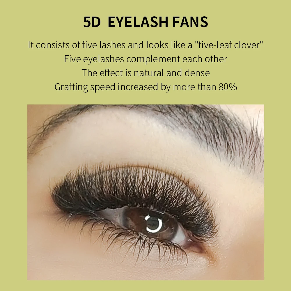 GLAMLASH 3D 4D 5D W Shaped Eyelash Lashes Easy Fan Eyelash Extensions  Wholesales YY Premade Volume 12 Rows W Style Natural Soft