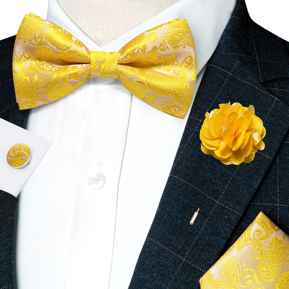 Champagne Silk Jacquard Paisley Bow Tie Set - Pre-tied Bowtie Brooch Hanky  Cufflinks for Weddings  Business