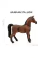 Arabian